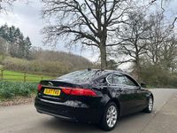 Used Jaguar XF Prestige 163 HP (119 kW) 2020 Sedan
