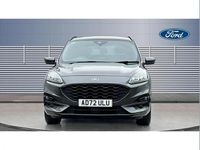Used Ford Kuga ST-Line X 190 HP (139 kW) 2023 Grey SUV