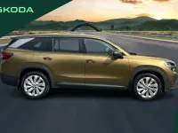 Used Skoda Kodiaq SE L 150 HP (110 kW) 2024 Other SUV