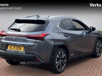 Used Lexus UX 250h 184 HP (135 kW) 2024 SUV