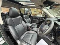 Used Subaru Forester Premium 2024 Green SUV