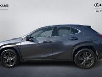 Used Lexus UX 300h 2025 Grey SUV