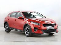 Used Kia XCeed 118 HP (86 kW) 2022 Red SUV