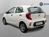 Used Kia Picanto 67 HP (49 kW) 2019 White Hatchback