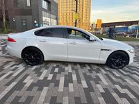 Used Jaguar XF Portfolio 180 HP (132 kW) 2017 White Sedan