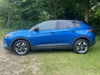 Used Vauxhall Grandland X SRi 130 HP (95 kW) 2020 Blue SUV