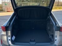 New Cupra Tavascan VZ1 250 kW (340 HP) 2025 SUV