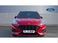 Used Ford Kuga ST-Line X 190 HP (139 kW) 2023 Red SUV