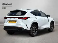 Used Lexus NX450h+ 2026 White SUV