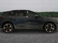 Used Cupra Terramar 2025 Blue SUV