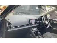 Used Skoda Karoq SE L 150 HP (110 kW) 2023 Blue SUV