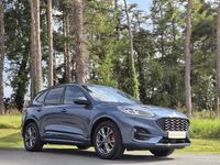 Used Ford Kuga ST-Line 150 HP (110 kW) 2022 Blue SUV