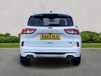 Used Ford Kuga ST-Line 2023 White SUV