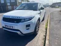 Used Land Rover Range Rover evoque Dynamic 2014 White SUV