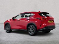 Used Lexus NX350h 2024 Red Estate