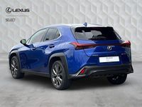 Used Lexus UX 250h Sport Design Packet 2022 Blue SUV