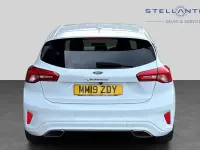 Used Ford Focus Vignale 123 HP (90 kW) 2019 White Hatchback