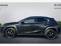 Used Lexus UX 250h 184 HP (135 kW) 2024 SUV