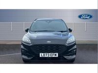 Used Ford Kuga ST-Line X 190 HP (139 kW) 2023 Black SUV