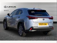 Used Lexus UX 300e 150 kW (204 HP) 2025 Silver SUV