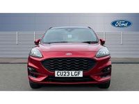 Used Ford Kuga ST-Line X 150 HP (110 kW) 2023 Red SUV