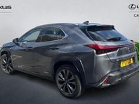 Used Lexus UX Sport Line 184 HP (135 kW) 2021 Grey SUV