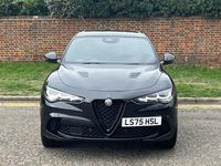 New Alfa Romeo Stelvio Quadrifoglio 511 HP (375 kW) 2025 Black SUV