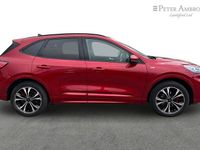 Used Ford Kuga ST-Line X 187 HP (137 kW) 2022 Red SUV