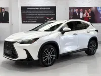 Used Lexus NX450h+ 2024 White SUV