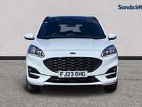 Used Ford Kuga ST-Line X 190 HP (139 kW) 2023 White SUV