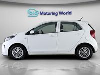 Used Kia Picanto 66 HP (48 kW) 2021 White Hatchback
