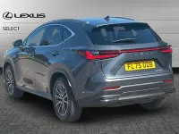 Used Lexus NX350h 245 HP (180 kW) 2025 Grey SUV