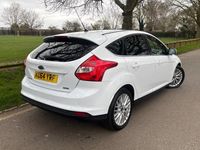 Used Ford Focus Zetec 2014 White Hatchback
