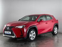Used Lexus UX 2022 Red SUV