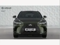 Used Lexus RX350h 247 HP (181 kW) 2025 Green SUV