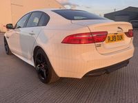 Used Jaguar XE R-Sport 250 HP (183 kW) 2019 White Sedan