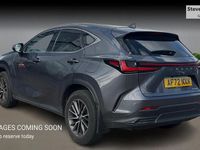 Used Lexus NX350h 2022 Grey Estate