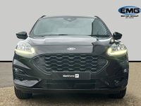 Used Ford Kuga ST-Line 150 HP (110 kW) 2023 Black SUV