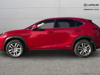 Used Lexus NX300h Luxury Line 194 HP (142 kW) 2016 Red SUV