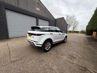 Used Land Rover Range Rover evoque S 160 HP (117 kW) 2021 White SUV