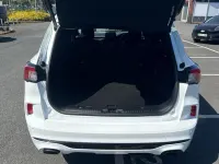 Used Ford Kuga 190 HP (139 kW) 2023 White SUV