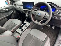 Käytetty Ford Kuga ST-Line X 239 HP (175 kW) 2025 Hopea Katumaasturi