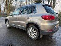 Used VW Tiguan Match 2014 Beige SUV