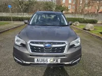 Usado Subaru Forester Premium 2016 Dourado SUV