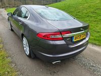 used Jaguar XF 3.0d V6 Premium Luxury 4dr Auto