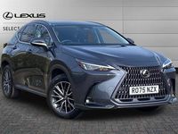 Used Lexus NX350h 243 HP (178 kW) 2025 Sonic grey SUV