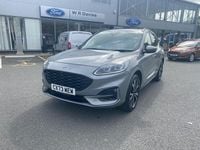 Used Ford Kuga ST-Line X 225 HP (165 kW) 2023 Silver SUV