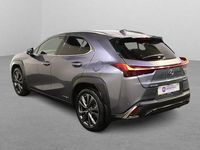 Used Lexus UX 250h Sport Line 184 HP (135 kW) 2021 Grey SUV