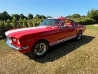 Used Ford V8 Fastback 1965 Red Coupe