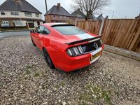 used Ford Mustang GT 5.0 V8 2dr Auto